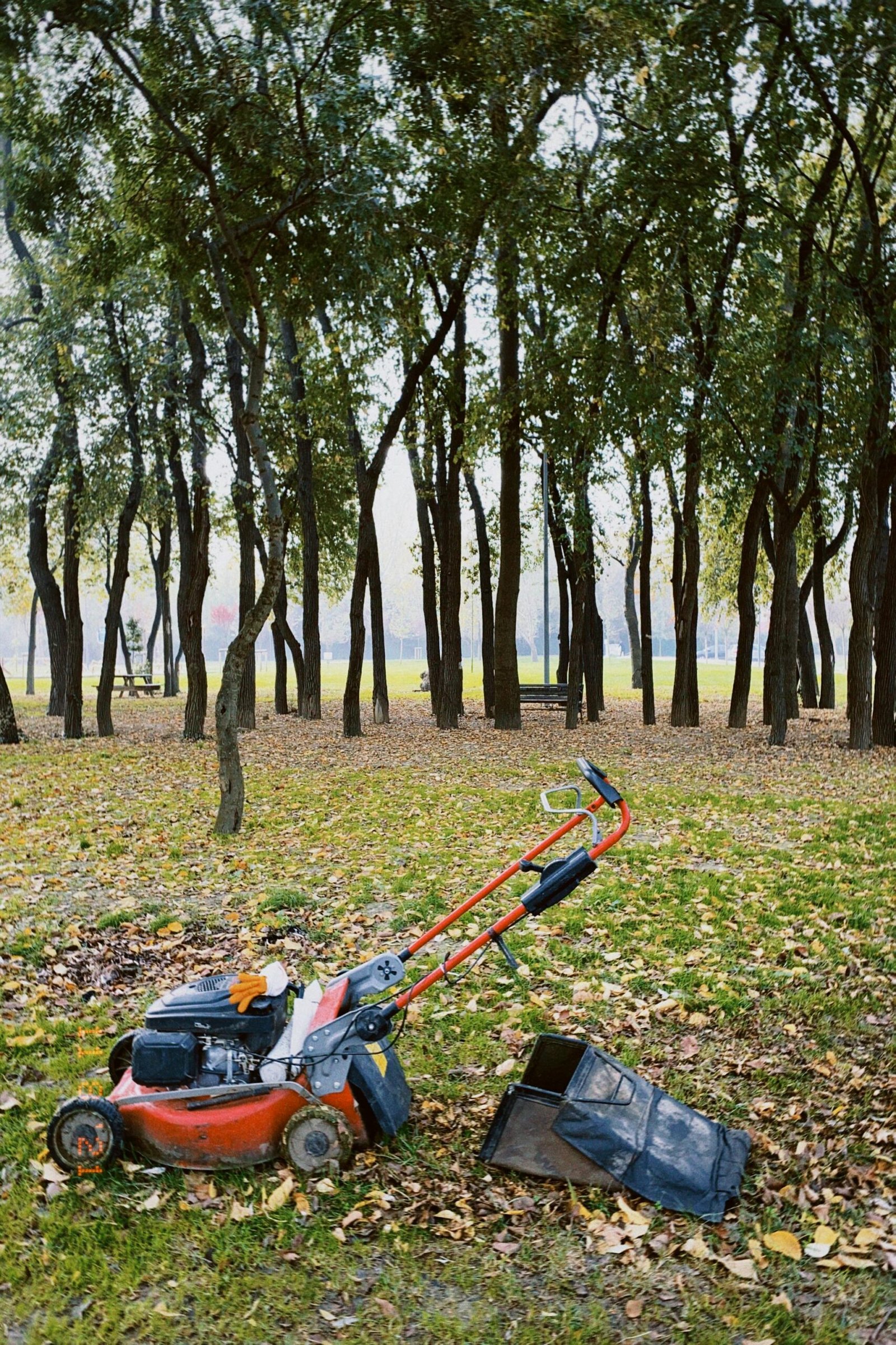 A lawn mower rests in a green forest clearing, surrounded by trees.